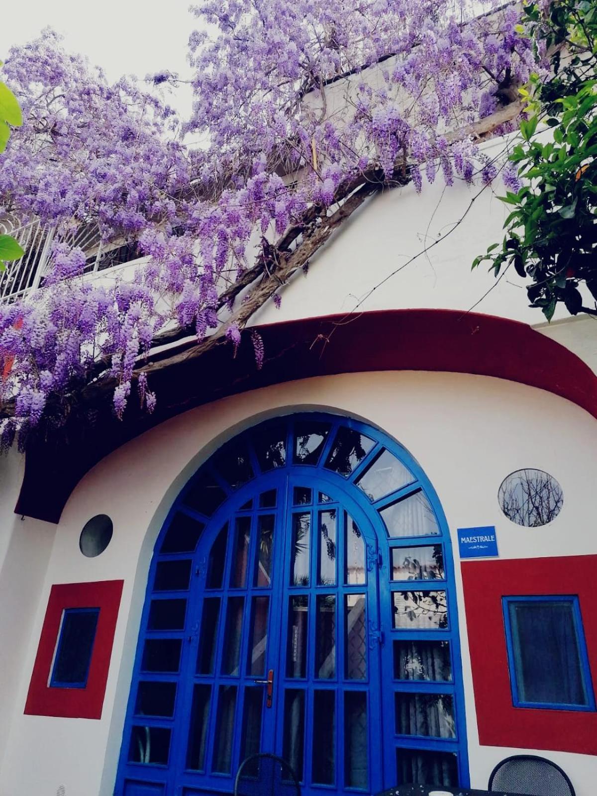 Dimora Coloniale B&B Forio di Ischia Extérieur photo